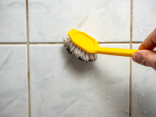 Best Best Mold Removal Companies  in Franklin, KY