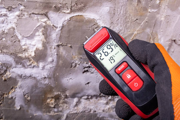 Best Mold Removal and Inspection  in Franklin, KY