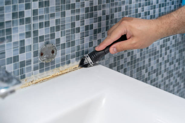 Best Residential Mold Removal  in Franklin, KY