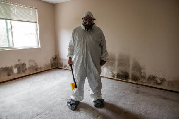 Best Emergency Mold Removal  in Franklin, KY